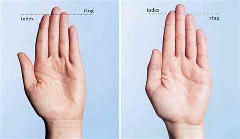 ☝️ Instantly Determine Your Testosterone Levels With This “finger” Test