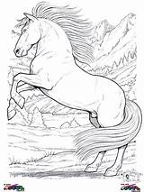 Coloring Horse Pages Rearing Horses Printable Color Para Colorir Colouring Drawing Animals Easy Print Desenhos Cavalos Getdrawings Kids Silhouette Animal sketch template