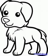 Dog Drawing Coloring Golden Retriever Animals Kids Drawings Dogs Puppy Pages Cute Draw Easy Simple Step Clipart Printable Animal Cartoon sketch template