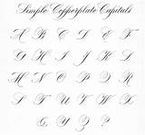 Calligraphy Alphabet Copperplate Script Capitals Simple Fonts Lettering Lindsey Hook Letters Handwriting Cursive Writing Kalligrafie Kalligraphie Write Worksheet Penmanship Anglaise sketch template