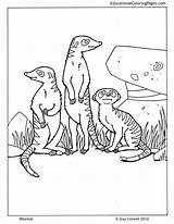 Meerkat Coloring Pages Drawing Life Animal Pi Colouring Printable Zoo Printables Animals Color Print Popular Getdrawings Getcolorings Choose Board Muse sketch template