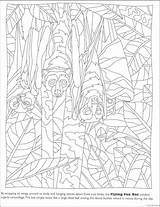 Hidden Coloring Pages Getdrawings sketch template