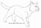 Coloring Warrior Cats Pages Cat Star Warriors Blue Bluestar Clipart Line Library Comments sketch template