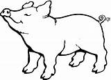 Pig Coloring Fat Clipart Sheet Animal Outline Cliparts Pigs Kids Animals Stencils Farm Library Toddlers Template Printable Eat Young Their sketch template
