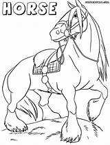 Horse Tack Draft sketch template