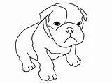 Coloring Dog Pages Boxer Pitbull Puppy Baby Cute Puppies Drawing Drawings Dogs Pitbulls Kids Print Line Color Printable Pug Getdrawings sketch template