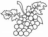 Raisins Raisin Impressionnant Grape sketch template