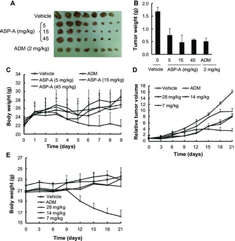 The Anticancer Efficacy Of Asp A In Vivo Following Asp A