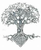 Tree Celtic Tattoo Tattoos Visit sketch template