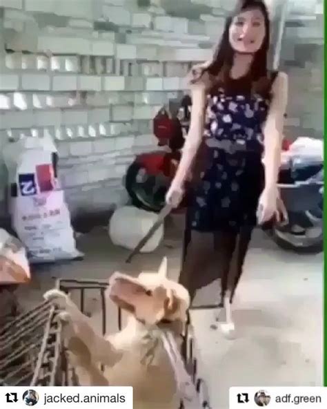 woman standing    dog   cage