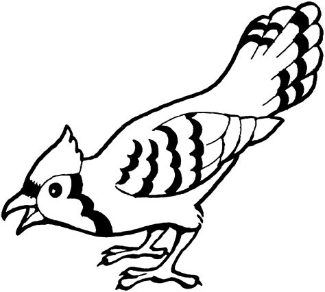 bird coloring pages freely downloadable educative printable bird