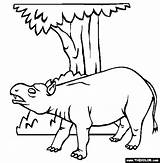 Diprotodon Prehistoric Mammals Designlooter sketch template