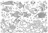 Aquarium Coloring Octopus Underwater Anchor Corals Fish Shells Stones Bottle Vector Illustration sketch template