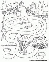 Coloring Beaver Activity Maze Pages Sheet Scenery Labyrinths Educational Color Drawing Book Mountain Printable Drawings Popular Getdrawings Getcolorings sketch template