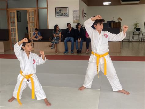 Aula De Karate Dō Para Crianças Em Cotia – São Paulo Renbukan Brasil