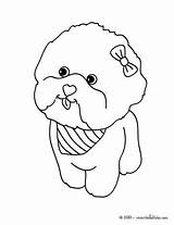 Coloring Pages Maltese Puppy Dog Hellokids Print Dogs Color Cute Kids Choose Puppies Animal Designlooter Visit Board sketch template