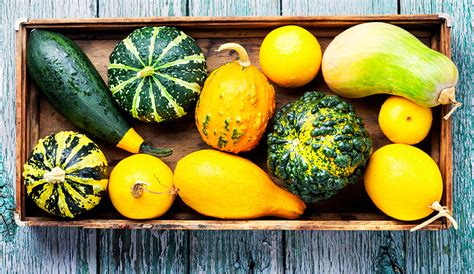 Types Of Squash A Guide To Squash Varieties Pop Times Uk