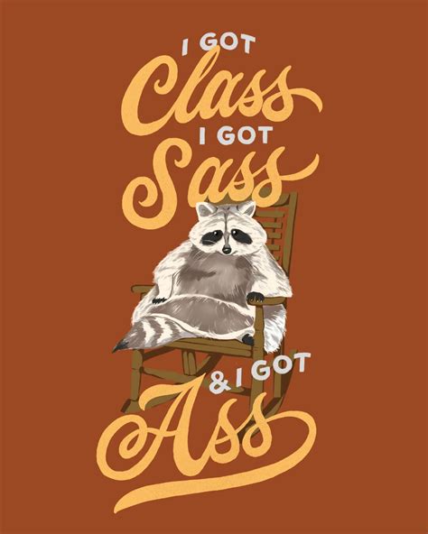 poster i got class i got sass and i got ass fat raccoon — nalgona