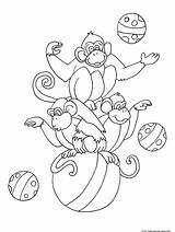 Coloring Pages Circus Monkey Printable Monkeys sketch template