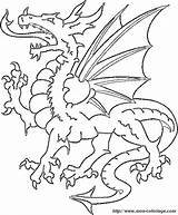 Dragons Welsh Drago Drache Drachen Drager Mers Fargeleggingsark Dragon4 Dinosaurer Tegninger Dragão Dyretegninger Squidoo Dyr Servez Tierbilder Ausmalen Buzz2000 sketch template