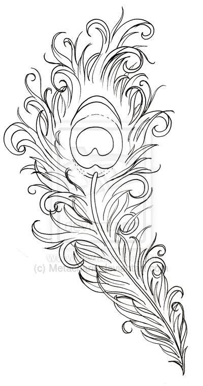 15 Feather Tattoo Stencil Ideas Feather Tattoo Feather Tattoos Feather