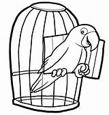 Cage Bird Coloring Pages Kids Cages Pet Parrot Clipart Pets Drawing Parrots Birds Color Cartoon Printable Drawings Rainforest Animal Sheets sketch template