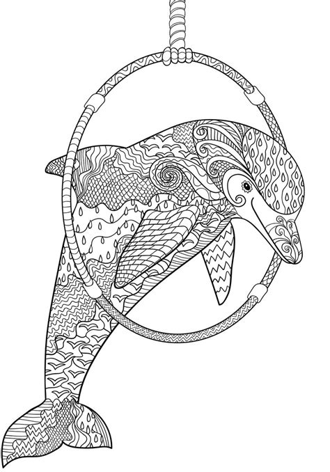 dolphins  coloring book relaxing patterns  playful dolphins