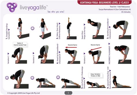 Ashtanga Yoga Beginners Complete Set Classes 1 To 7 Live Yoga Life