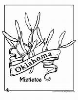 Flower Oklahoma State Coloring Pages Tree Mexico Kids Woojr Sheet Library Choose Board Comments sketch template