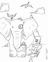 Coloring Elephants Guest Rachel Printable Adult Stupak sketch template