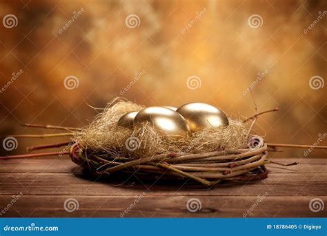 golden easter eggs stock image image  floral flowers