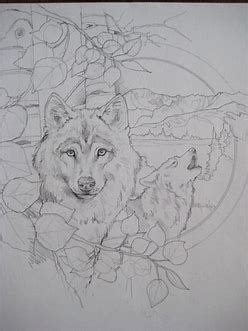 image result   jody bergsma coloring pages drawings animal