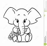 Elephant Baby Drawing Coloring sketch template