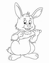 Conejo Zanahoria Carrot Imprimir Comiendo Conejos Imágenes sketch template
