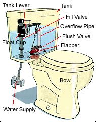toilets kennedy plumbing