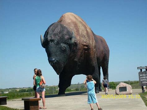 worlds largest   pics curious funny  pictures