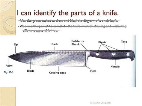 types  knives  parts diagram quizlet