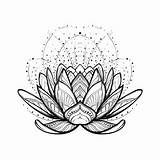 Kwiat Lotosu Rysunek Skomplikowane Liniowy Stylizowane Obraz Białym Fototapeta Wzor sketch template