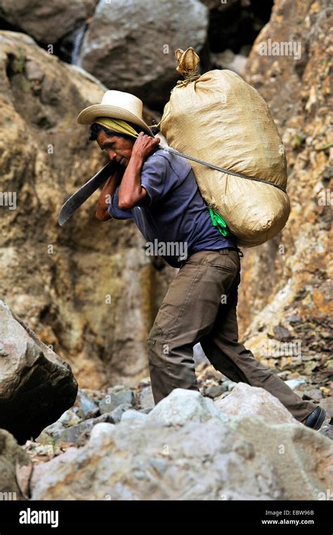 older man carrying  sack     rocks      browband guatemala atitlan