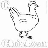 Chicken Coloring Nugget Pages Getcolorings Getdrawings Color sketch template