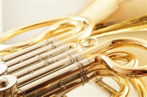 french horns top brands     musiq