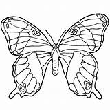 Mariposas Mariposa Coloring Papillon Mandalas Recortar Alas Calcar Biologia Gratuit Schmetterling Colorat Multy Fluturasi Pulgón Pentru Pintadas Coloriages Laminas Burro sketch template