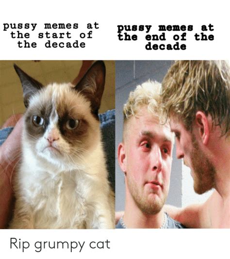 🔥 25 Best Memes About Pussy Meme Pussy Memes