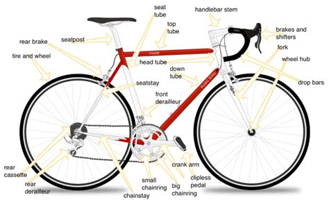 parts   bicycle explained road bike rider cycling site
