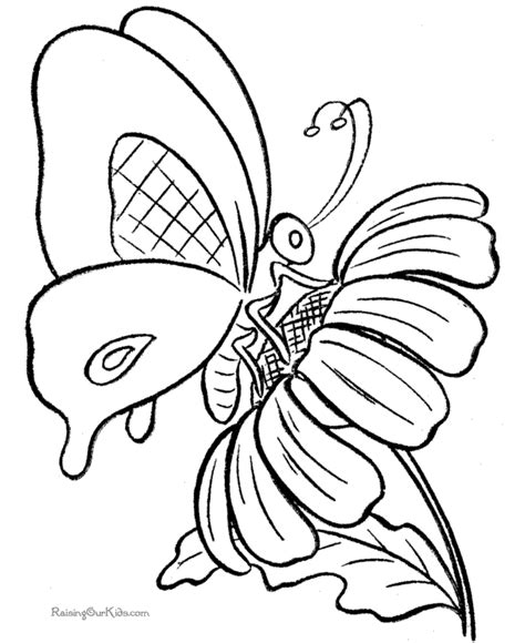 flower  butterfly coloring page