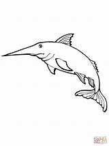 Marlin Coloring Pages Blue Fish Color Printable Online Supercoloring Recommended sketch template