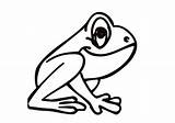 Coloring Coqui Frogs Clipartmag Toad sketch template