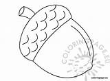 Acorn Coloring Chestnut Clipart Autumn Fall Pages Coloringpage Eu Template Leaf Color Acorns Crafts Reddit Email Twitter Visit Choose Board sketch template