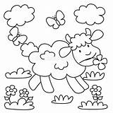 Sheep Coloring Stock sketch template