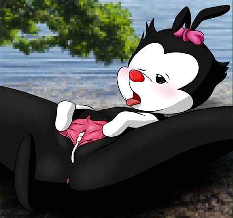 Rule 34 After Sex Animaniacs Anthro Anus Blush Bow Breasts Clitoris